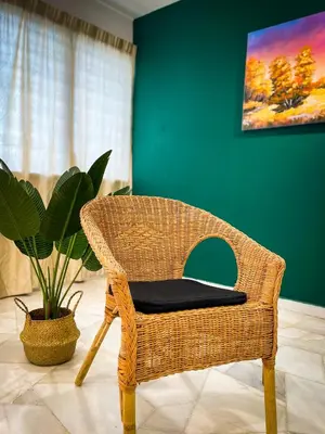 a wicker chair sitting in a room with a plant at Lake View 53 Heritage 4BR by LOUIS in Taiping