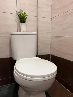 a white toilet with a plant on top of it at Room1#IG theme Bargainous#Shared Bathroom#3pax#2min Kek Lok Si in Ayer Itam