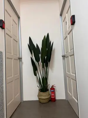 a plant in a basket sitting between two doors at Room2#IG theme Bargainous#Shared Bathroom#4pax#2min Kek Lok Si in Ayer Itam