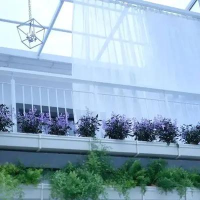 Comfy Sofy 23- Balcony Garden (Night market)
