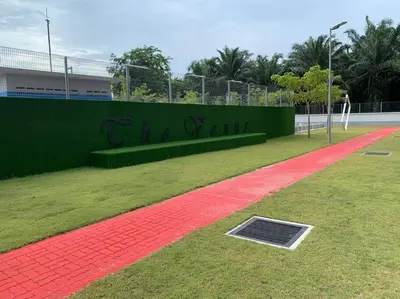 a red carpet on a field next to a fence at Ulike homestay~3room~The Venus~Manjung~Lumut in Seri Manjung