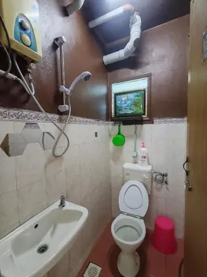 a bathroom with a toilet and a sink and a shower at ZE II Homestay_Cameron in Tanah Rata