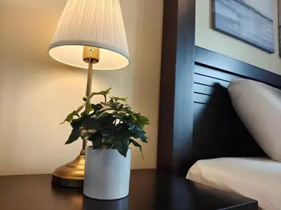 a lamp on a table with a potted plant on it at 【NEW】Cozy&Warm Studio@Juru Sentral Icon City in Bukit Mertajam