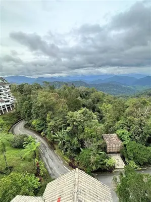 a winding road in the middle of a forest at Fraser Hill Silverpart Resort A3-6-3A Best View With Lift in Bukit Fraser