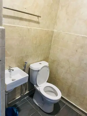 a bathroom with a toilet and a sink at Vintage Guesthouse in Tanah Rata