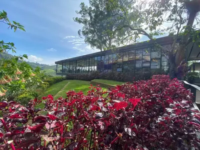 a pile of red flowers in front of a building at Aufa Homestay at Emerald Avenue Brinchang in Brinchang
