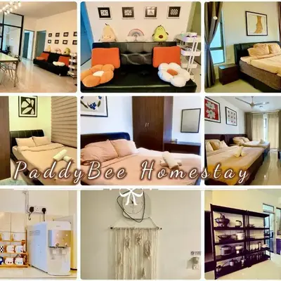 Paddy Bee