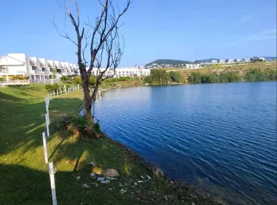 a tree sitting next to a body of water at Ipoh Lake View Cozy Home Big House in Lahat