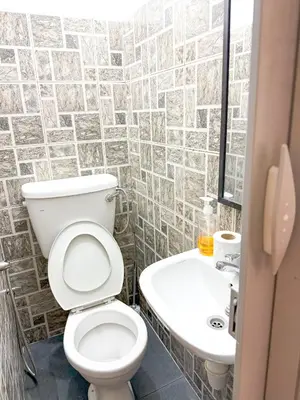a bathroom with a toilet and a sink at G99 Hotel in George Town