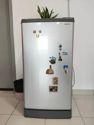 a white refrigerator with magnets and a plant on top at Cosy Apartment Ipoh Town - WiFi Netflix FREE in Ipoh