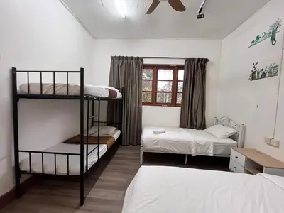 a bedroom with two bunk beds and a window at Mountain View Guesthouse Cameron Highlands in Tanah Rata