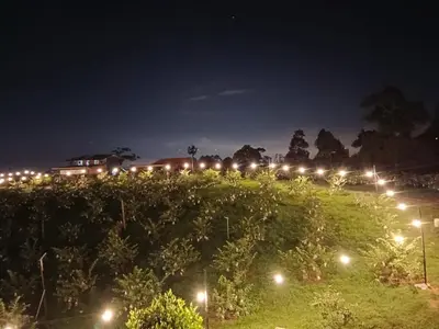 a row of lights on a hill at night at I Do Farmstay in Bukit Mertajam