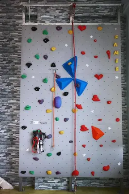 an indoor rock climbing wall with a climber on it at Private Rock Climb at The CEO Penang in Bayan Lepas