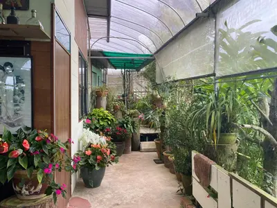 a greenhouse filled with lots of plants and flowers at New Farmer Hut 2 in Brinchang