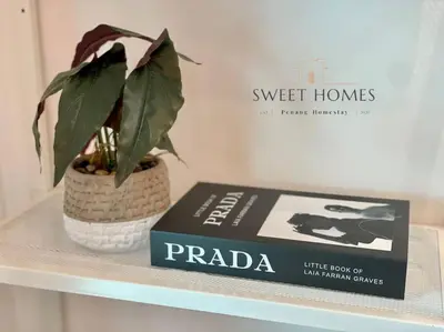 a plant sitting on a shelf next to a book at R&W 1-5pax B'worth Prai #Netflix #6minPenangBridge in Perai