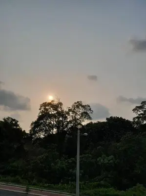 a street light in front of trees with the sun in the sky at Simple Home Taiping \u7b80\u5c45 @ Suria Aman in Kamunting