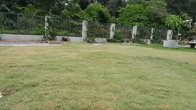a child laying in a yard next to a fence at Simple Home Taiping \u7b80\u5c45 @ Suria Aman in Kamunting