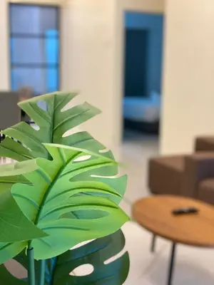 a green plant in a room with a table at LYL HOMESTAY-IPOH 10Pax 4R in Ipoh